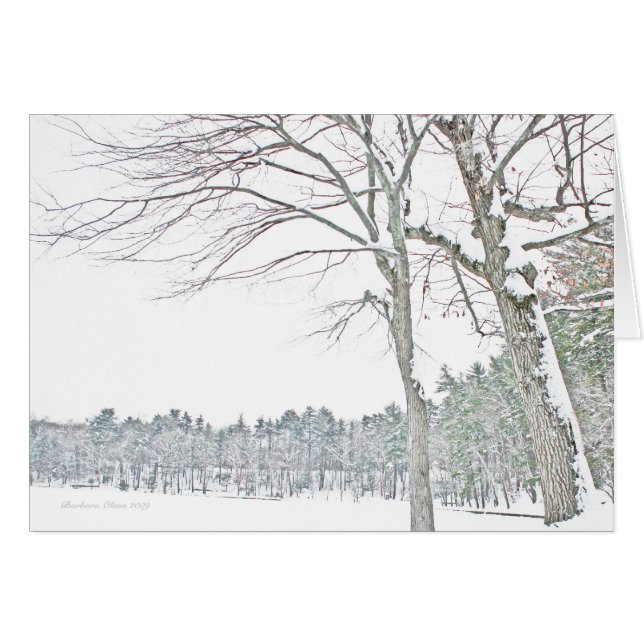 Walden Teich: Im Zen (Vorderseite (Horizontal))