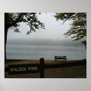 Walden Teich-Plakat - nachdenklicher Nebel Poster