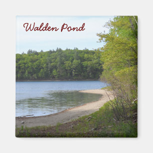 Walden Teich, Übereinstimmung, MA Magnet