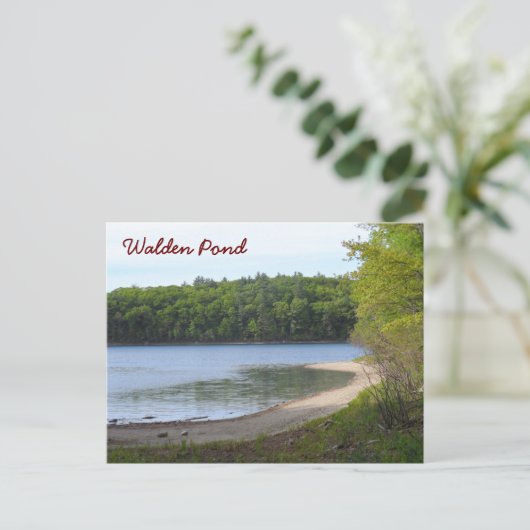 Walden Teich, Übereinstimmung, MA Postkarte (Stehend Vorderseite)