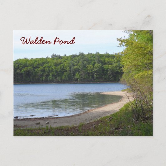 Walden Teich, Übereinstimmung, MA Postkarte (Vorderseite)