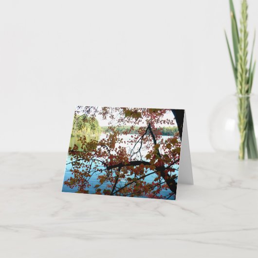 Waldenteich durch Herbstleaale (Vorderseite)