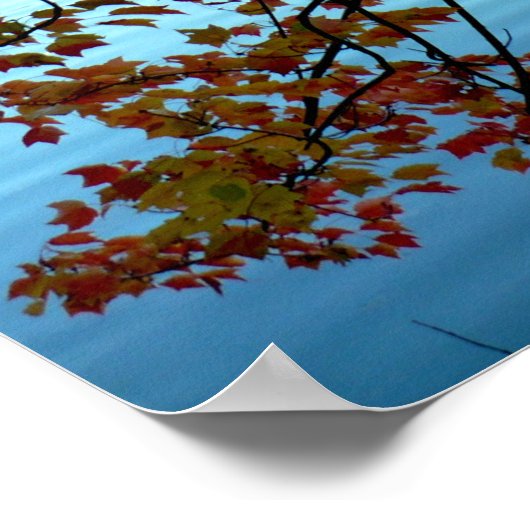 Waldenteich durch Herbstleaale Poster (Ecke)