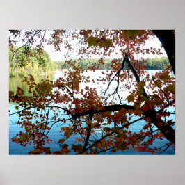Waldenteich durch Herbstleaale Poster