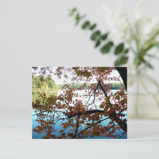 Waldenteich durch Herbstleaale Postkarte (Stehend Vorderseite)