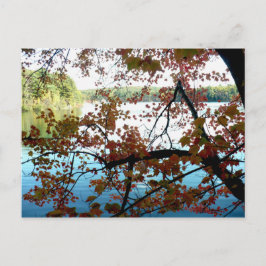 Waldenteich durch Herbstleaale Postkarte