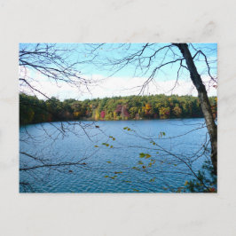 Waldenteich im Herbst Postkarte