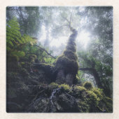 Wälder | Anaga Rural Park Kanarische Inseln Glasuntersetzer (Vorderseite)