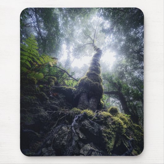 Wälder | Anaga Rural Park Kanarische Inseln Mousepad (Vorne)