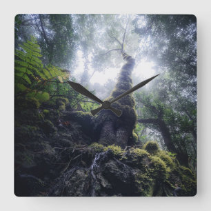 Wälder   Anaga Rural Park Kanarische Inseln Quadratische Wanduhr