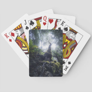 Wälder Anaga Rural Park Kanarische Inseln Spielkarten