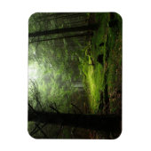 Wälder | Auvergne Frankreich Magnet (Vertikal)