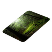 Wälder | Auvergne Frankreich Magnet (Linke Seite)