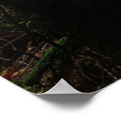 Wälder | Auvergne Frankreich Poster (Ecke)