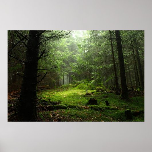 Wälder | Auvergne Frankreich Poster (Vorne)