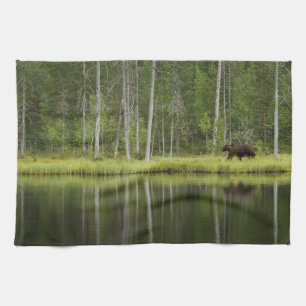 Wälder Bären in Taiga Forest Nord Finnland Geschirrtuch