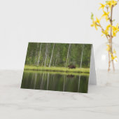 Wälder | Bären in Taiga Forest Nord Finnland Karte (Gelbe Blume)