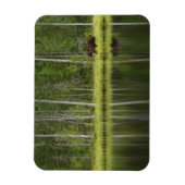 Wälder | Bären in Taiga Forest Nord Finnland Magnet (Vertikal)