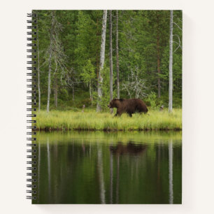 Wälder   Bären in Taiga Forest Nord Finnland Notizblock