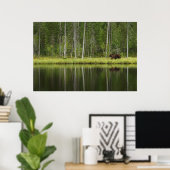 Wälder | Bären in Taiga Forest Nord Finnland Poster (Heimbüro)