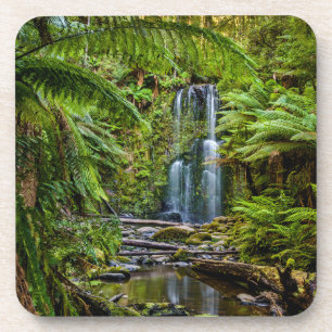 Wälder Beauchamp Falls Australien Getränkeuntersetzer