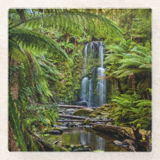 Wälder | Beauchamp Falls Australien Glasuntersetzer (Vorderseite)