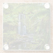 Wälder | Beauchamp Falls Australien Glasuntersetzer (Rückseite)