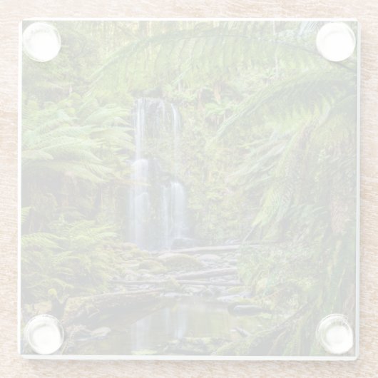 Wälder | Beauchamp Falls Australien Glasuntersetzer (Rückseite)