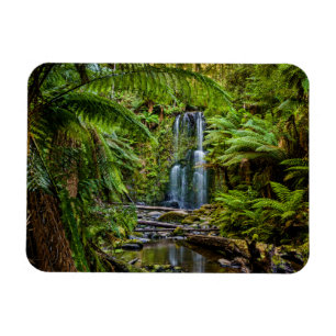 Wälder   Beauchamp Falls Australien Magnet