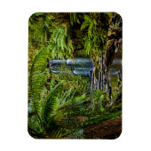 Wälder | Beauchamp Falls Australien Magnet (Vertikal)