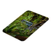 Wälder | Beauchamp Falls Australien Magnet (Linke Seite)