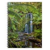 Wälder | Beauchamp Falls Australien Notizblock (Vorderseite)