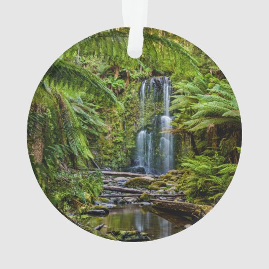 Wälder | Beauchamp Falls Australien Ornament (Rückseite)