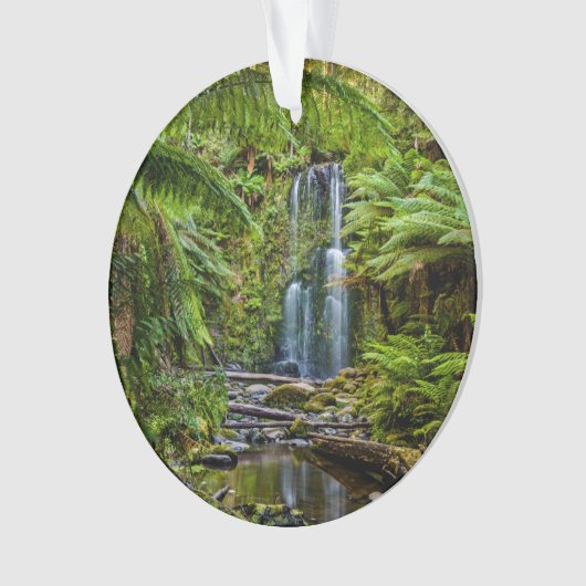 Wälder | Beauchamp Falls Australien Ornament (Vorderseite)