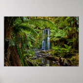 Wälder | Beauchamp Falls Australien Poster (Vorne)