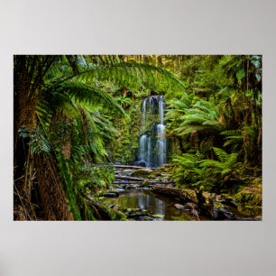 Wälder Beauchamp Falls Australien Poster