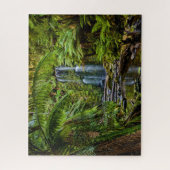 Wälder | Beauchamp Falls Australien Puzzle (Vertikal)