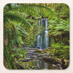 Wälder Beauchamp Falls Australien Rechteckiger Pappuntersetzer
