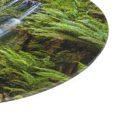 Wälder | Beauchamp Falls Australien Schneidebrett (Ecke)