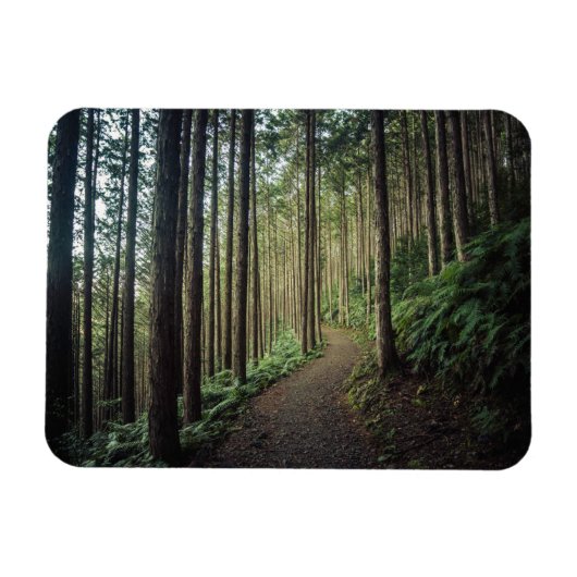 Wälder | Berge Wakayama Japan Magnet (Horizontal)