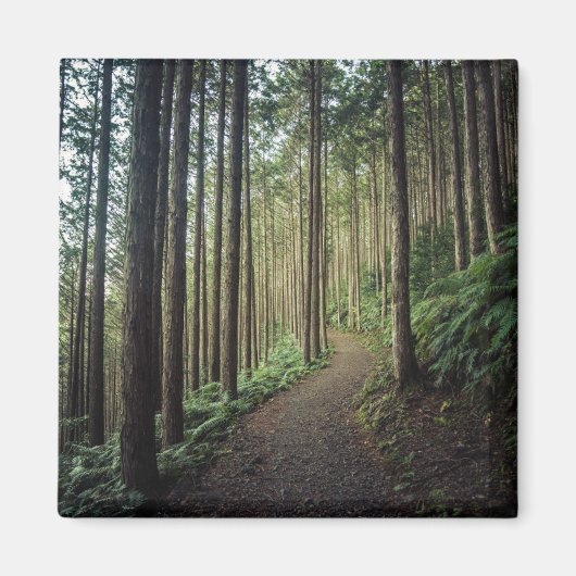 Wälder | Berge Wakayama Japan Magnet (Vorne)