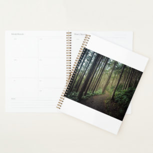 Wälder Berge Wakayama Japan Planer