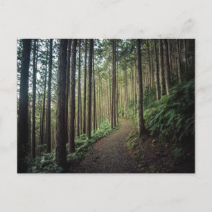 Wälder Berge Wakayama Japan Postkarte