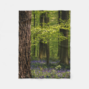 Wälder Bluebells in Belgien Fleecedecke