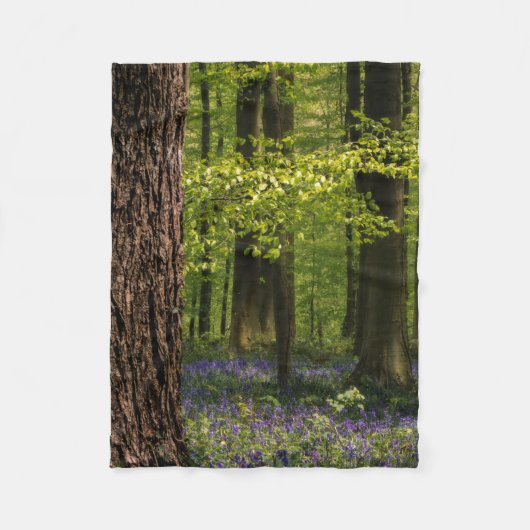 Wälder | Bluebells in Belgien Fleecedecke (Vorderseite)