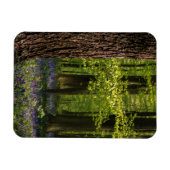 Wälder | Bluebells in Belgien Magnet (Horizontal)