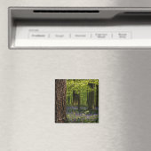 Wälder | Bluebells in Belgien Magnet (In Situ (Geschirrspüler))