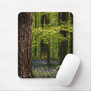 Wälder Bluebells in Belgien Mousepad