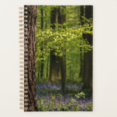 Wälder | Bluebells in Belgien Planer (Vorderseite)