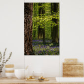 Wälder | Bluebells in Belgien Poster (Küche)